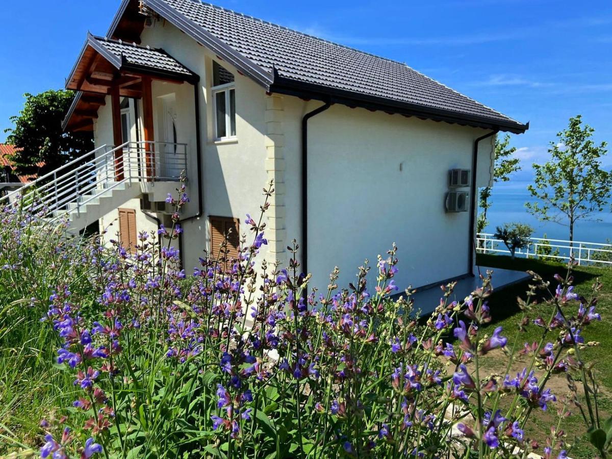 Xhuli Guesthouse Shkodër Exteriér fotografie