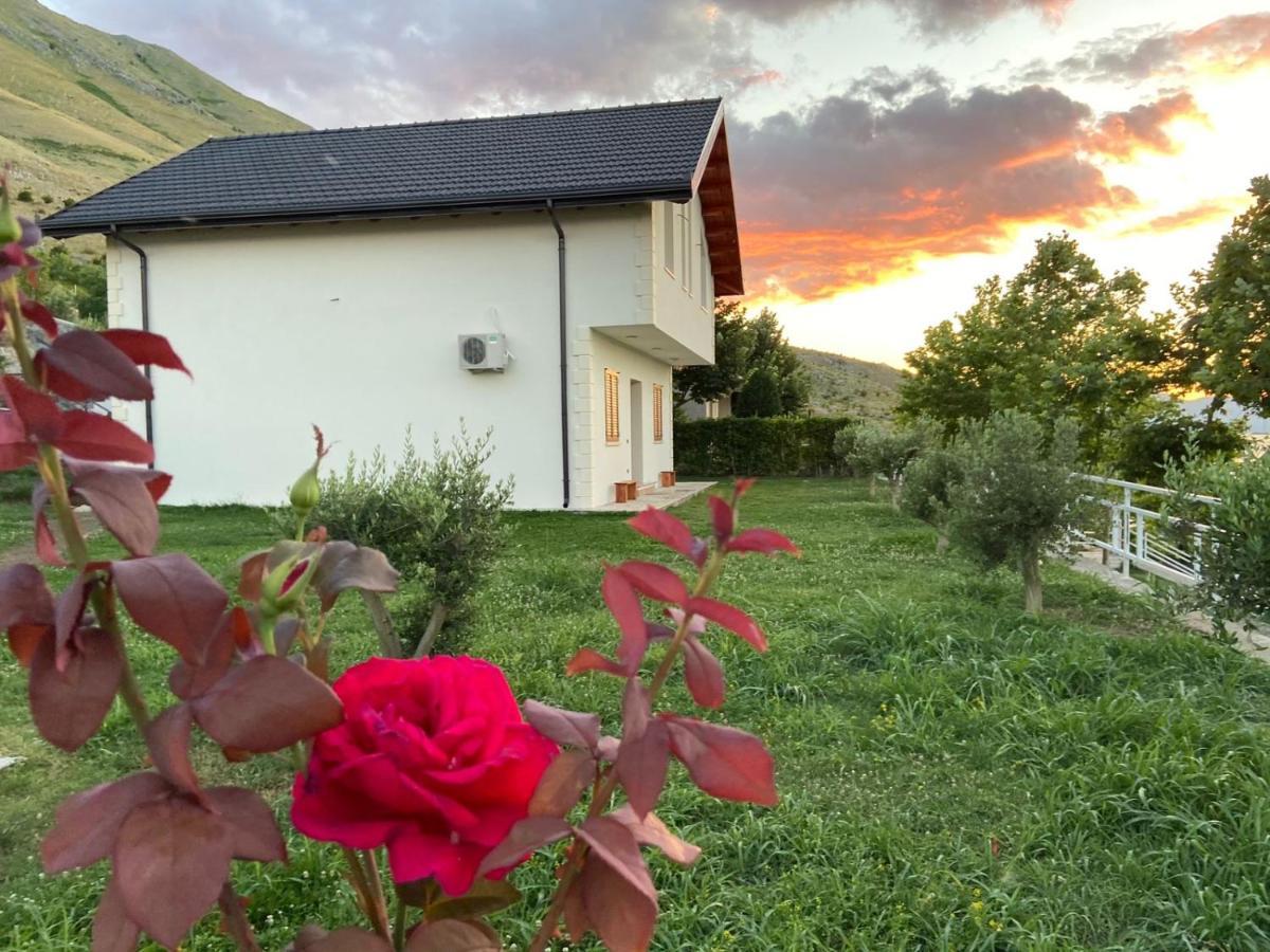 Xhuli Guesthouse Shkodër Exteriér fotografie
