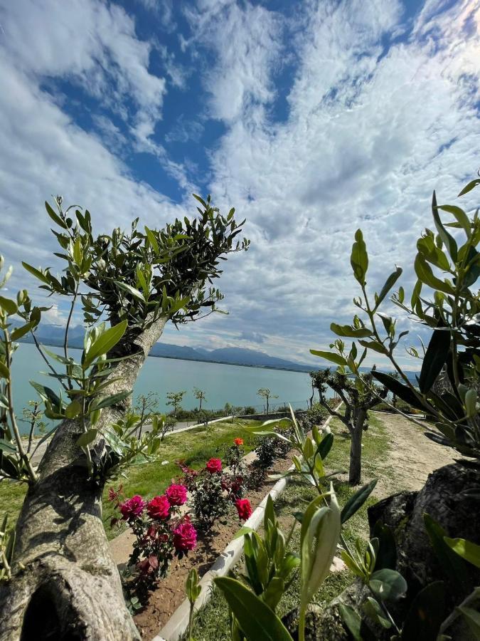 Xhuli Guesthouse Shkodër Exteriér fotografie