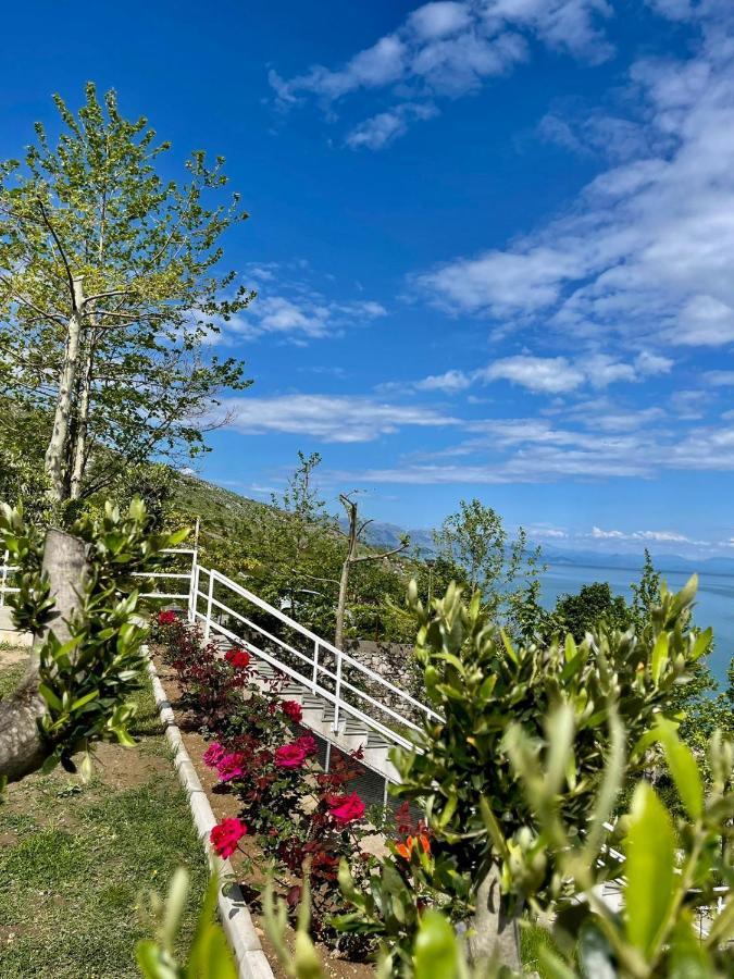 Xhuli Guesthouse Shkodër Exteriér fotografie