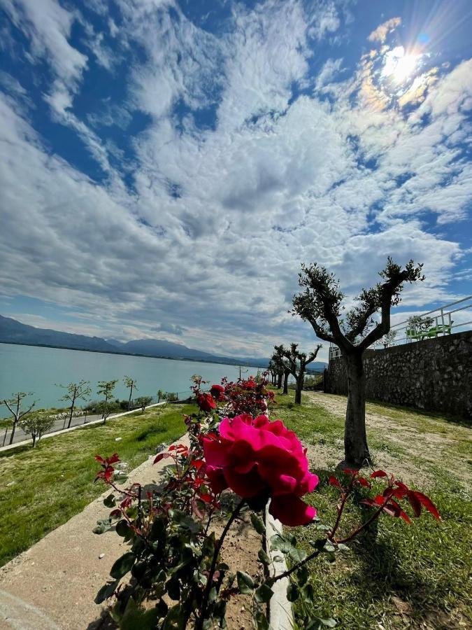 Xhuli Guesthouse Shkodër Exteriér fotografie